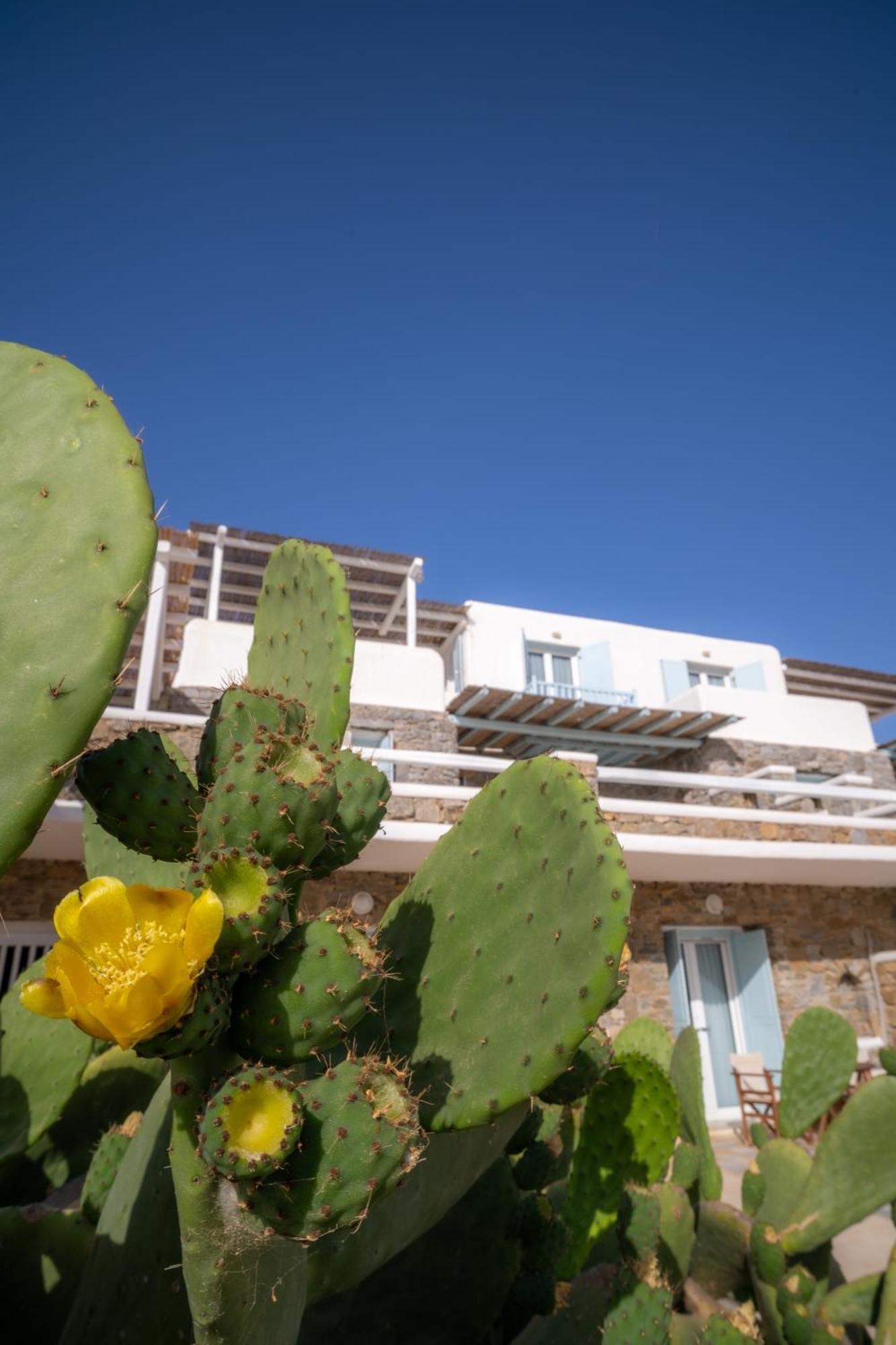Sofia'S Bungalows Mykonos Mykonos Town Luaran gambar